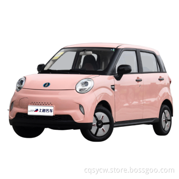 Hot Selling New Energy Cars n Stock 2023 Front Wheel Drive Electric Left Hand Driving